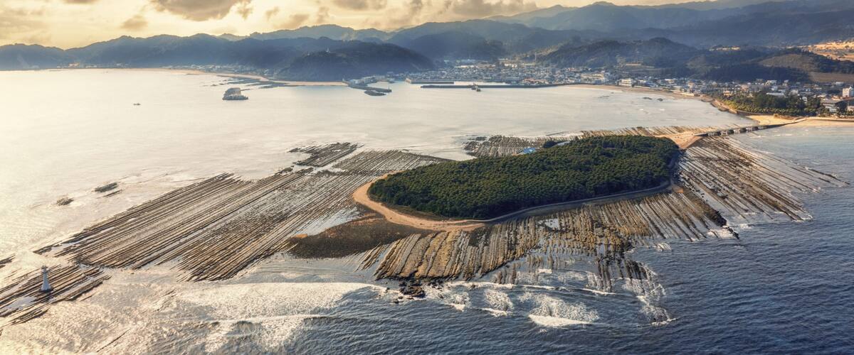 An aerial view of a coastal area with a forested island, a sandy beach, and a marina with boats.