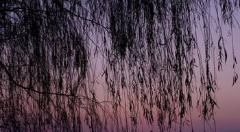 çæŹç æ±æŽ„æč