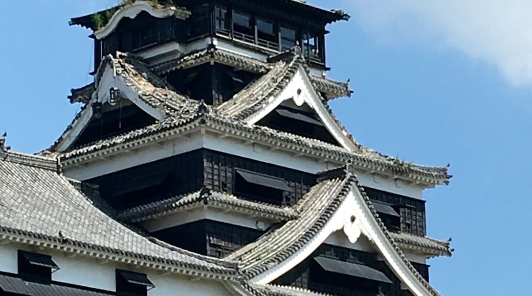 As can be seen, the roof tiles were damaged from the May earthquakes. It must have been very scary for Kumamoto residents 3 months ago. The quakes can be felt almost on the North Kyushu island!
#endlesssummer