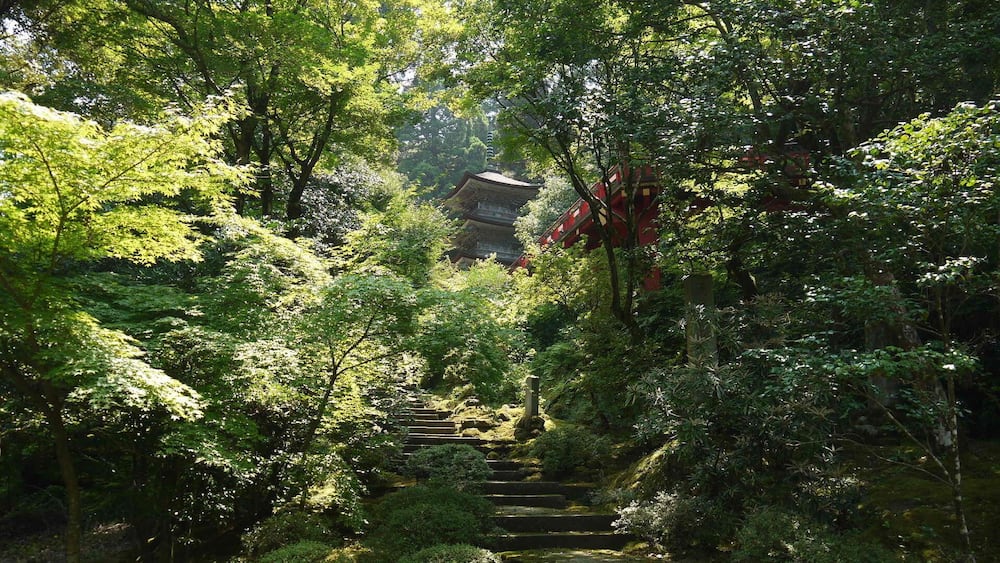 Eine traditionelle japanische Pagode, umgeben von üppigem Grün und einer steinernen Treppe, die zu ihr hinaufführt.