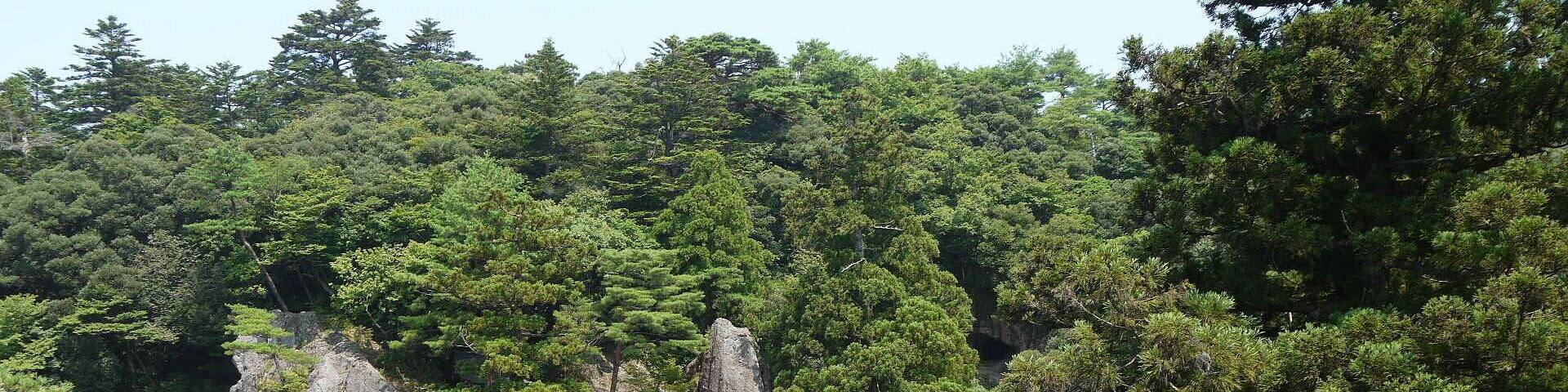 A forested area with rocky outcrops and a staircase leading up to a shrine.