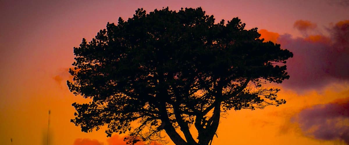 King Island Hotel Guide