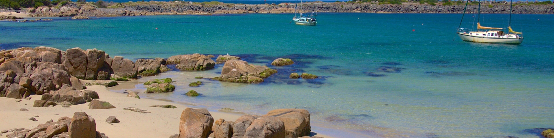 King Island showing boating, a bay or harbor and a sandy beach