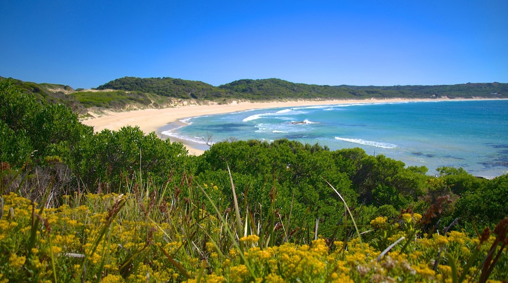 King Island which includes landscape views and a beach