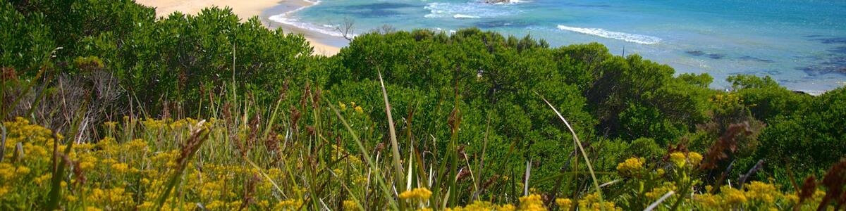 King Island which includes landscape views and a beach