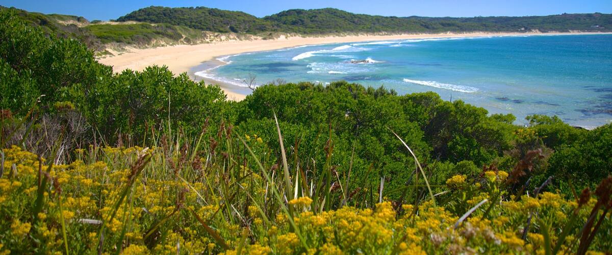 King que incluye vistas de paisajes y una playa