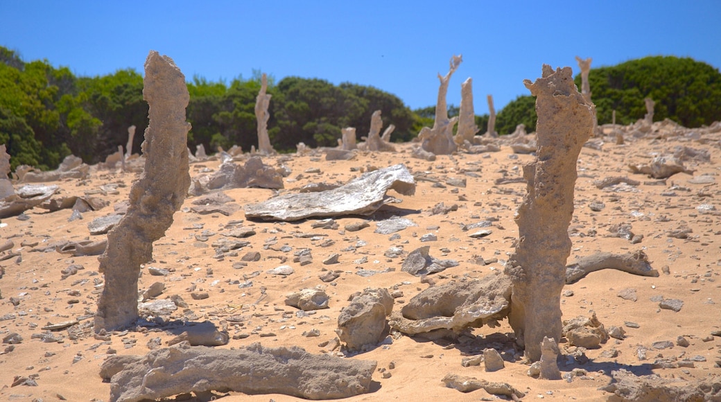 King Island showing landscape views