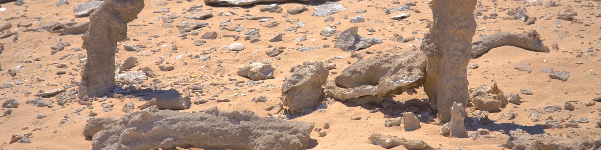 King Island featuring landscape views