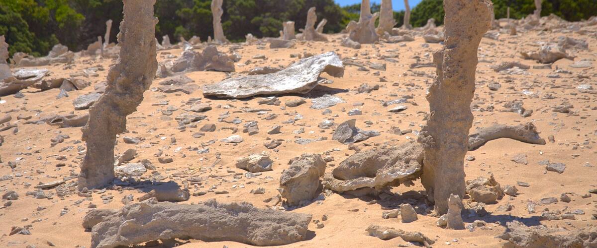 A rocky landscape with sparse vegetation and a clear blue sky.