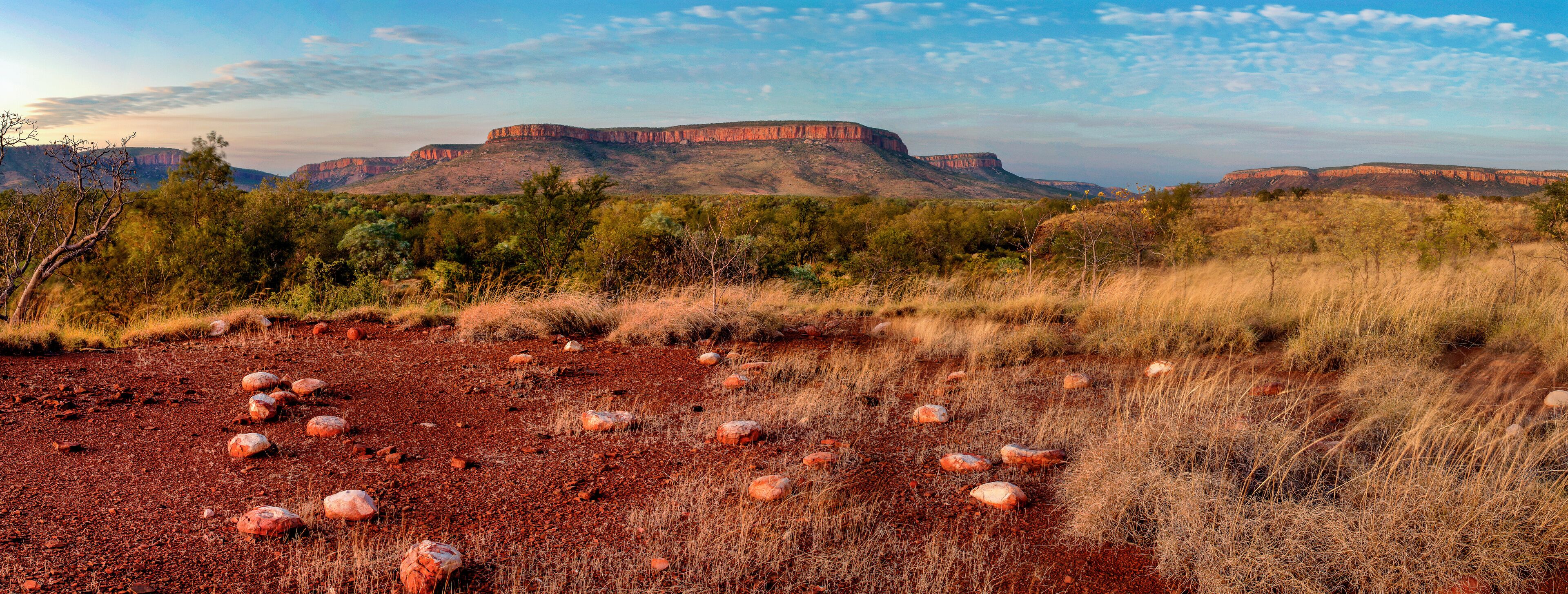 A desert landscape with red rock formations and sparse vegetation.