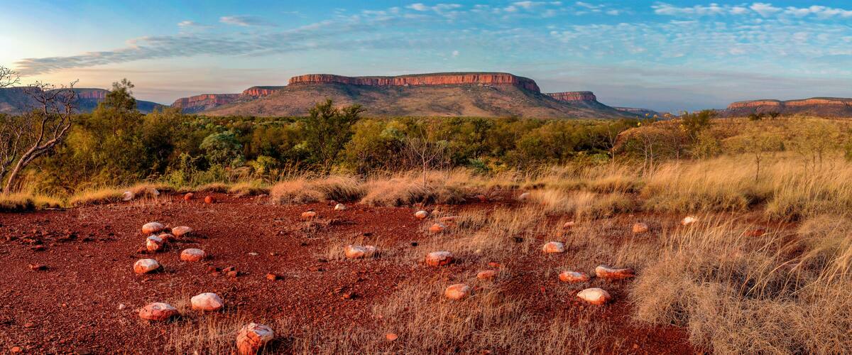 A desert landscape with red rock formations and sparse vegetation.