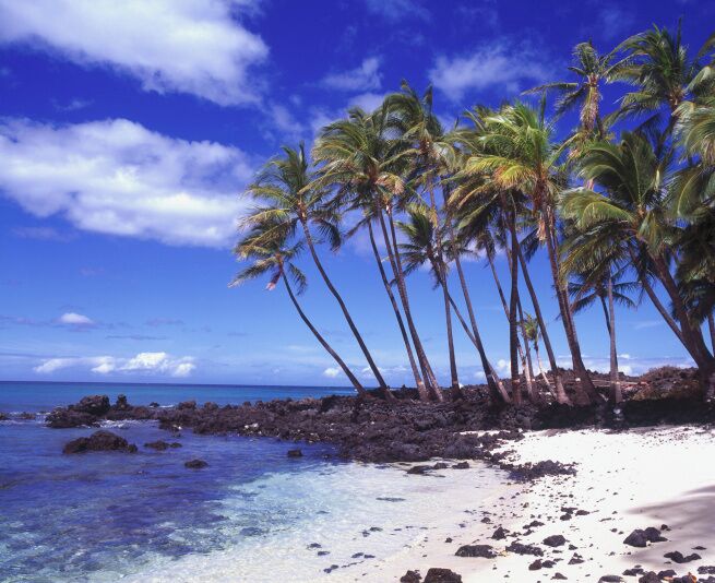 A beach with clear turquoise water, white sand, and tall palm trees.