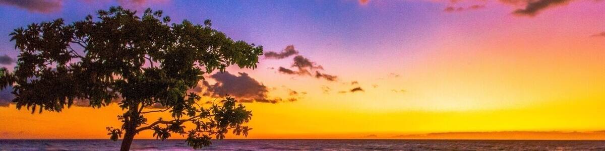 Amazing sunset at dinner last night with the clouds capturing the light of the sun after it has gone below the horizon