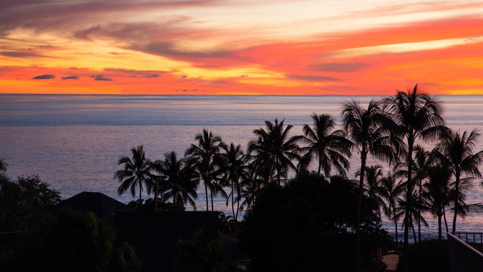 A sunset over the ocean with palm trees silhouetted against the sky.