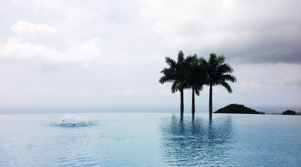 This is the cutest little coffee farm! Mauka Meadows lets you walk around and explore and then gives free coffee samples.. With this view. 😍