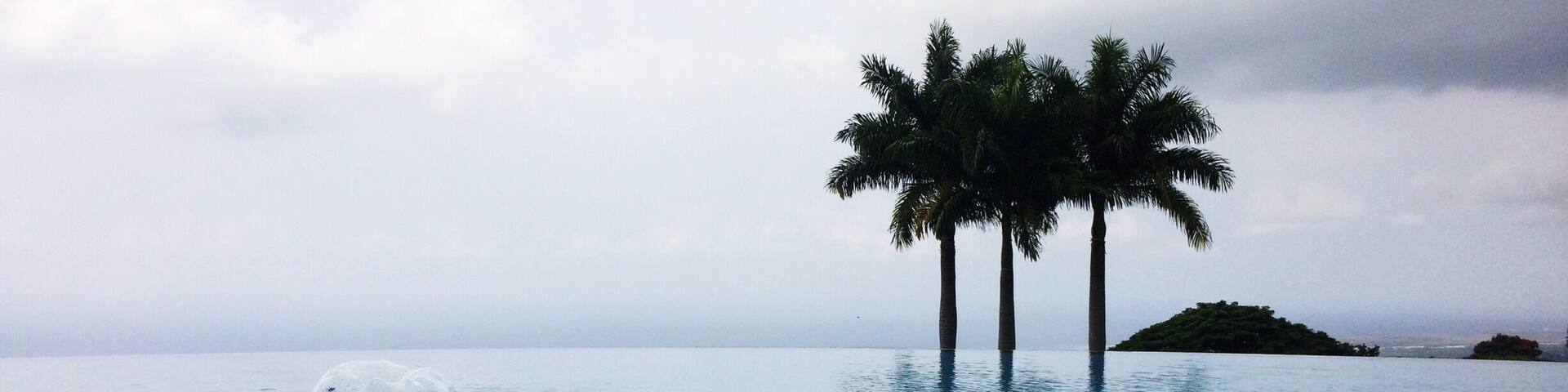 This is the cutest little coffee farm! Mauka Meadows lets you walk around and explore and then gives free coffee samples.. With this view. 😍