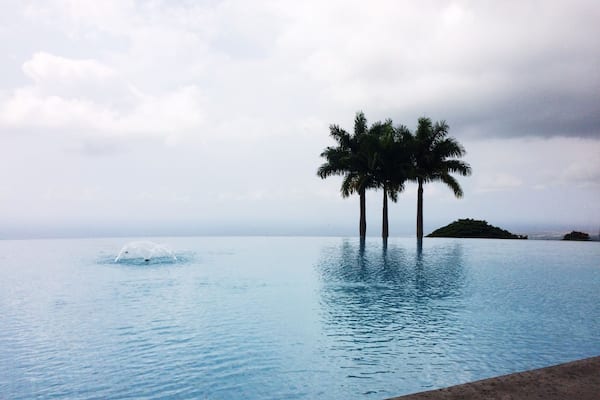 This is the cutest little coffee farm! Mauka Meadows lets you walk around and explore and then gives free coffee samples.. With this view. 😍