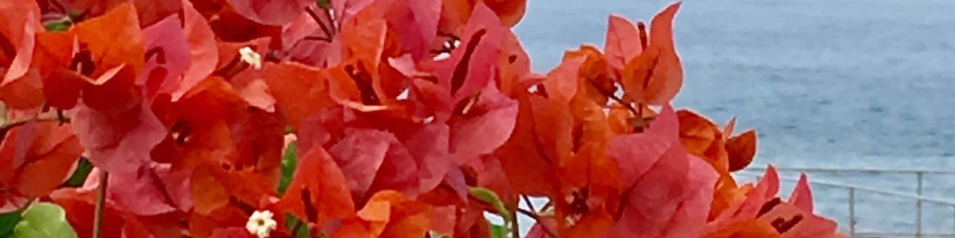 Parasailing Kailua Kona,HI
