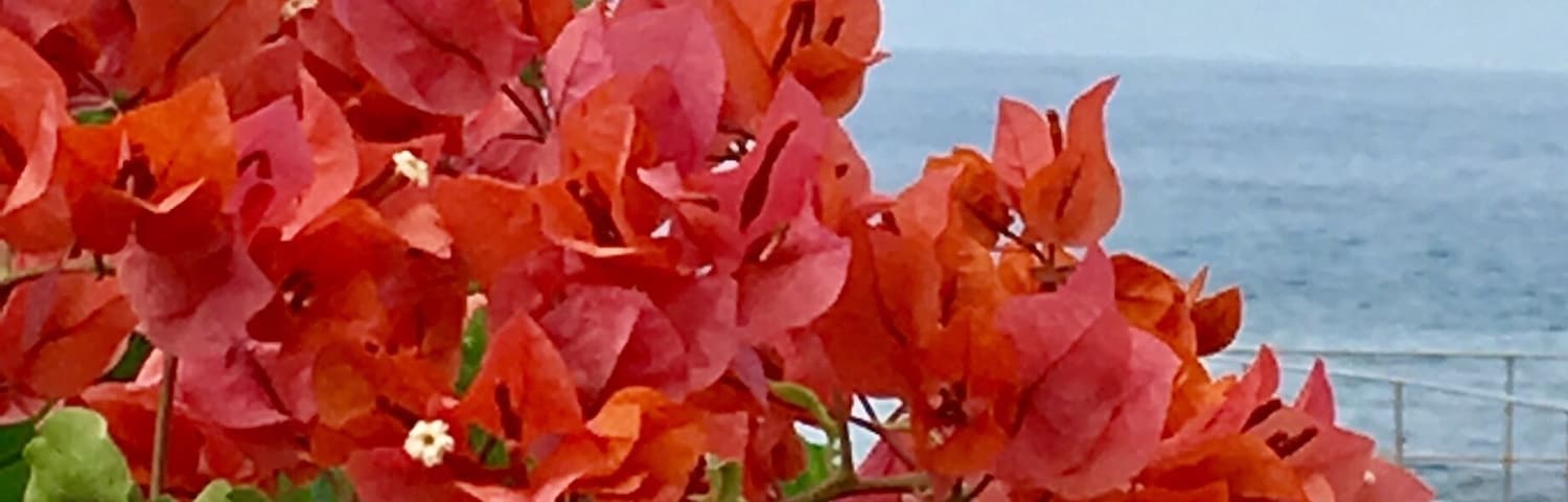 Parasailing Kailua Kona,HI