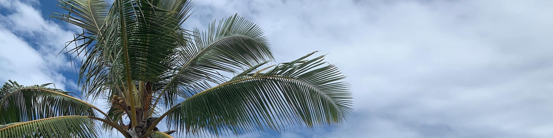 Enjoy the beautiful beach at Hawaii