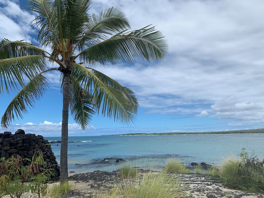 Enjoy the beautiful beach at Hawaii