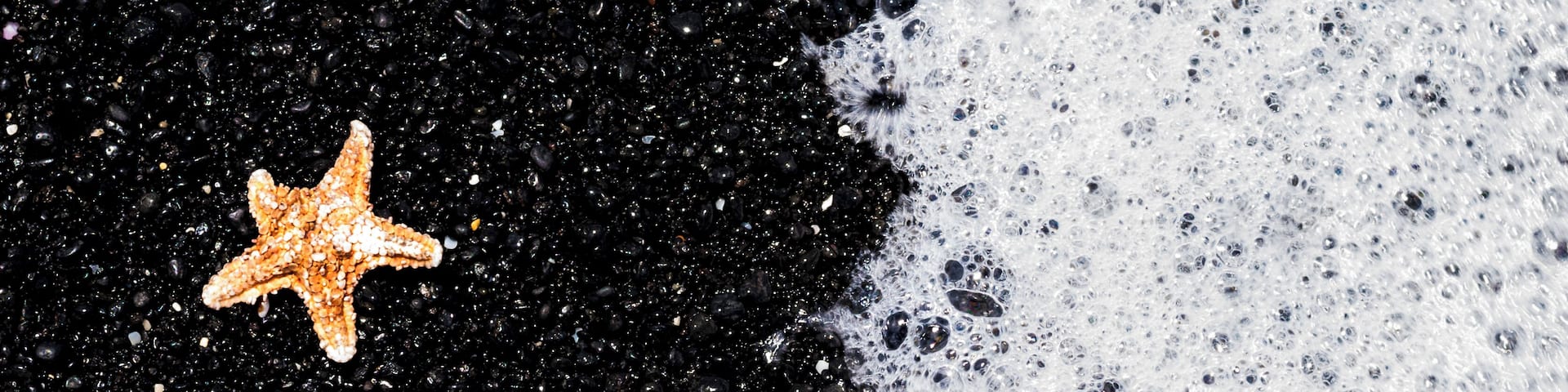 After a day of adventuring in Kiholo I found a small starfish on the beach. This photo was captured moments before it was swept away by a wave. #Adventure #BigislandofHawaii #kendrapowersphotography