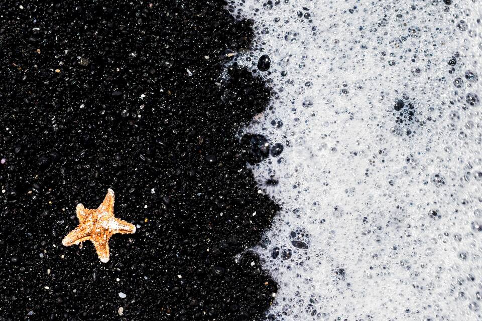 A starfish on a black sandy beach with white foam waves.