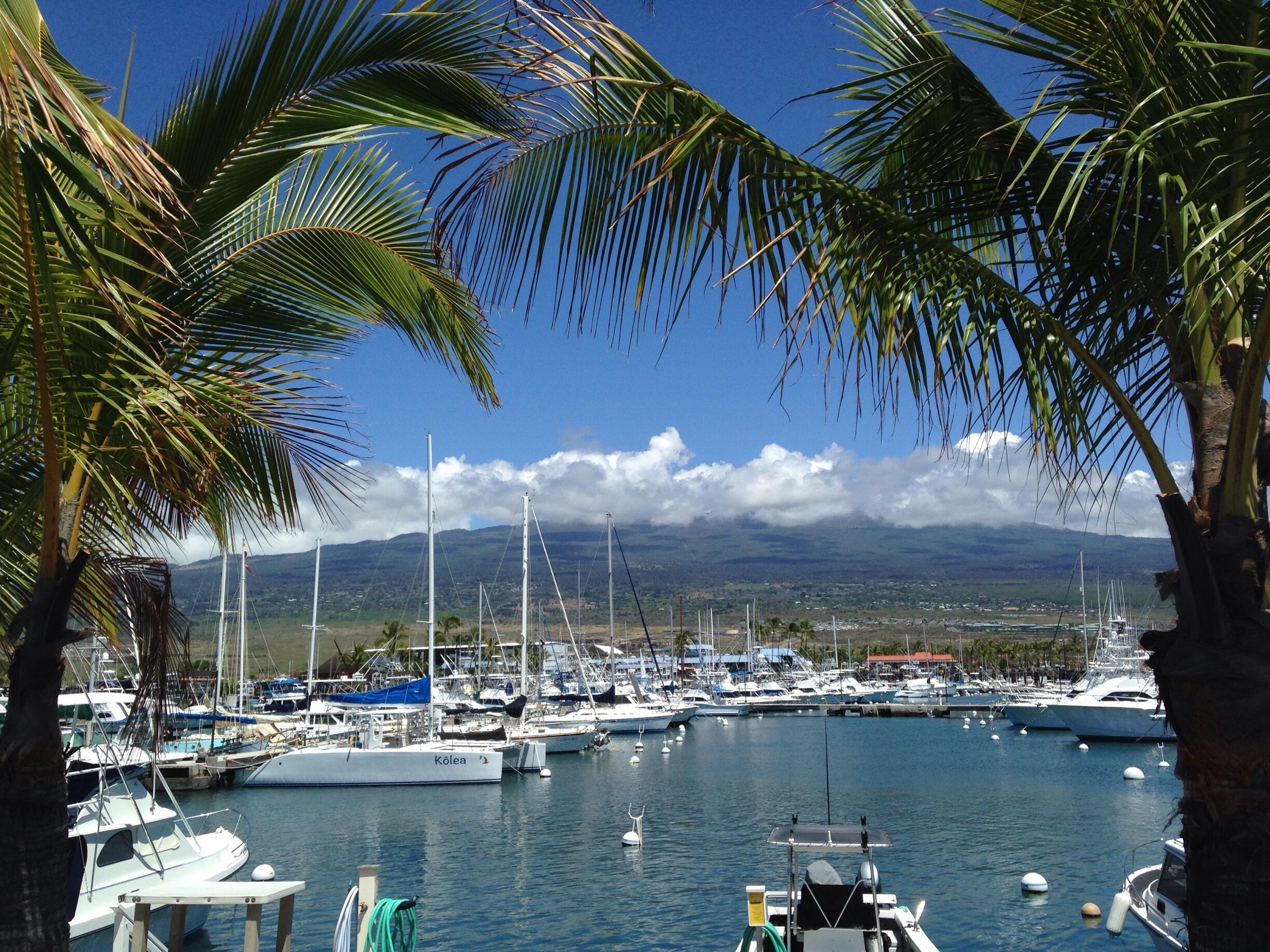 Great marina for excursions to go diving, fishing or evening snorkeling with the huge Manta Rays.