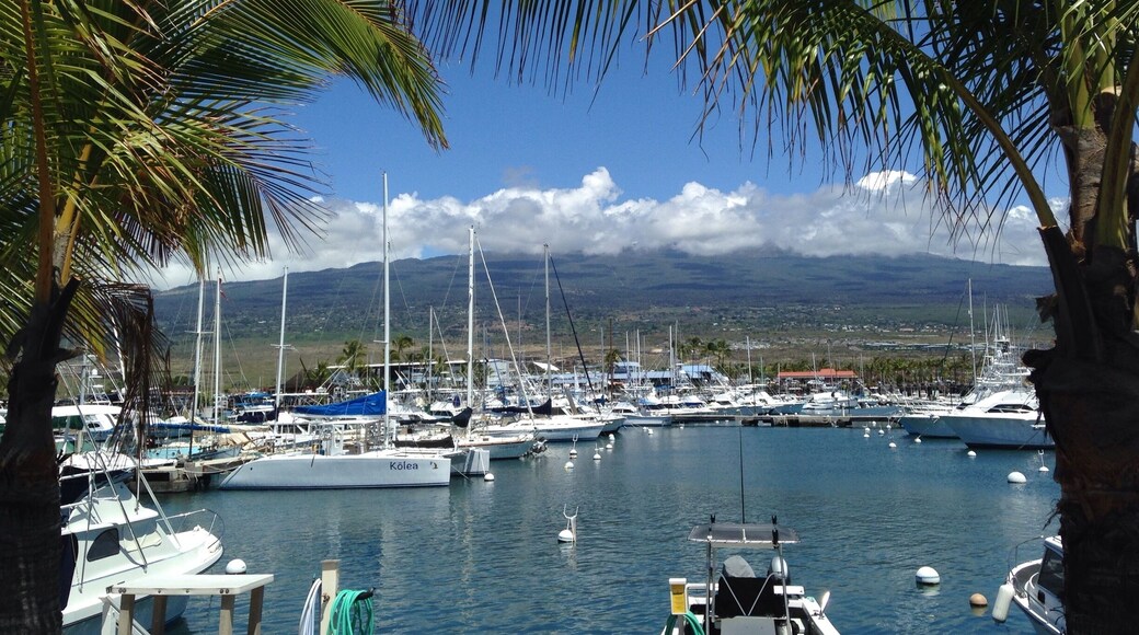 Great marina for excursions to go diving, fishing or evening snorkeling with the huge Manta Rays.