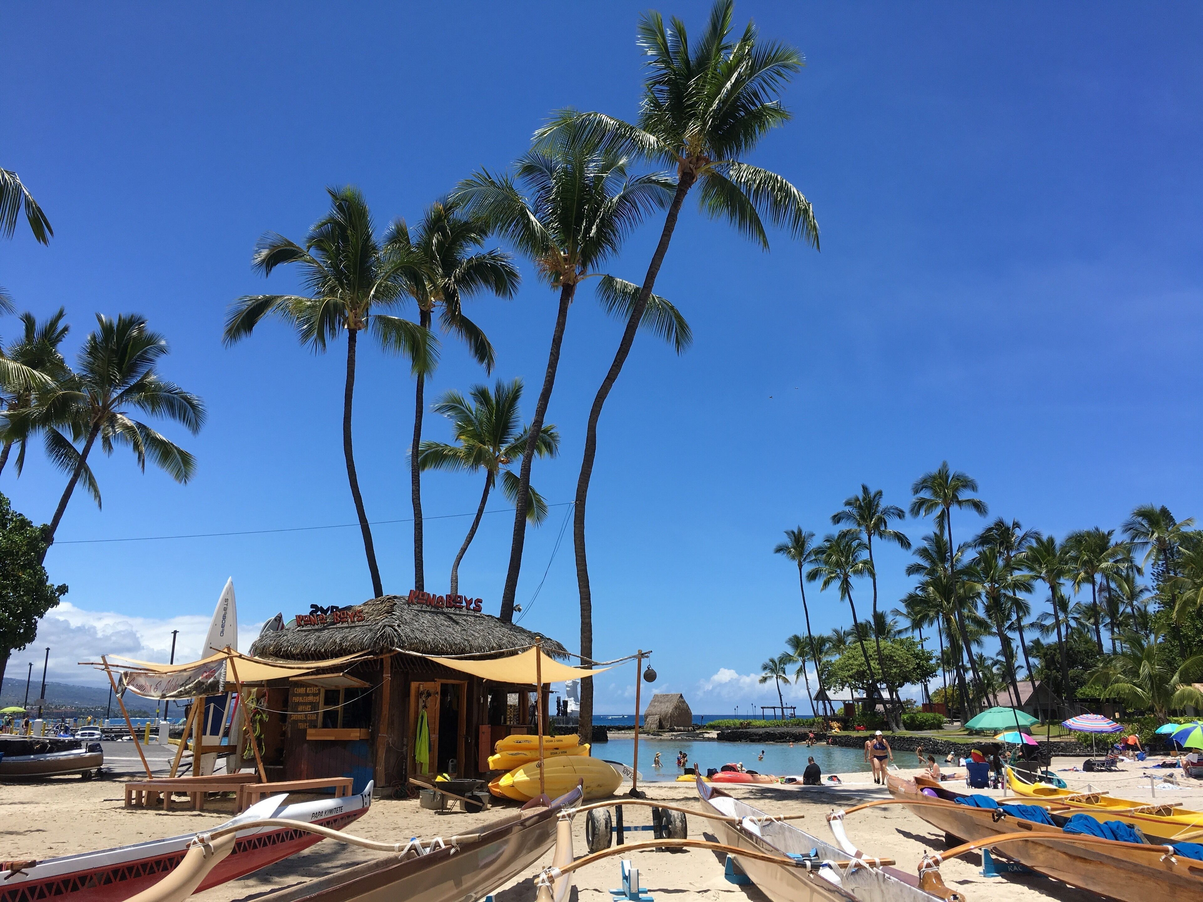A beach with palm trees, a thatched-roof hut, and several boats.