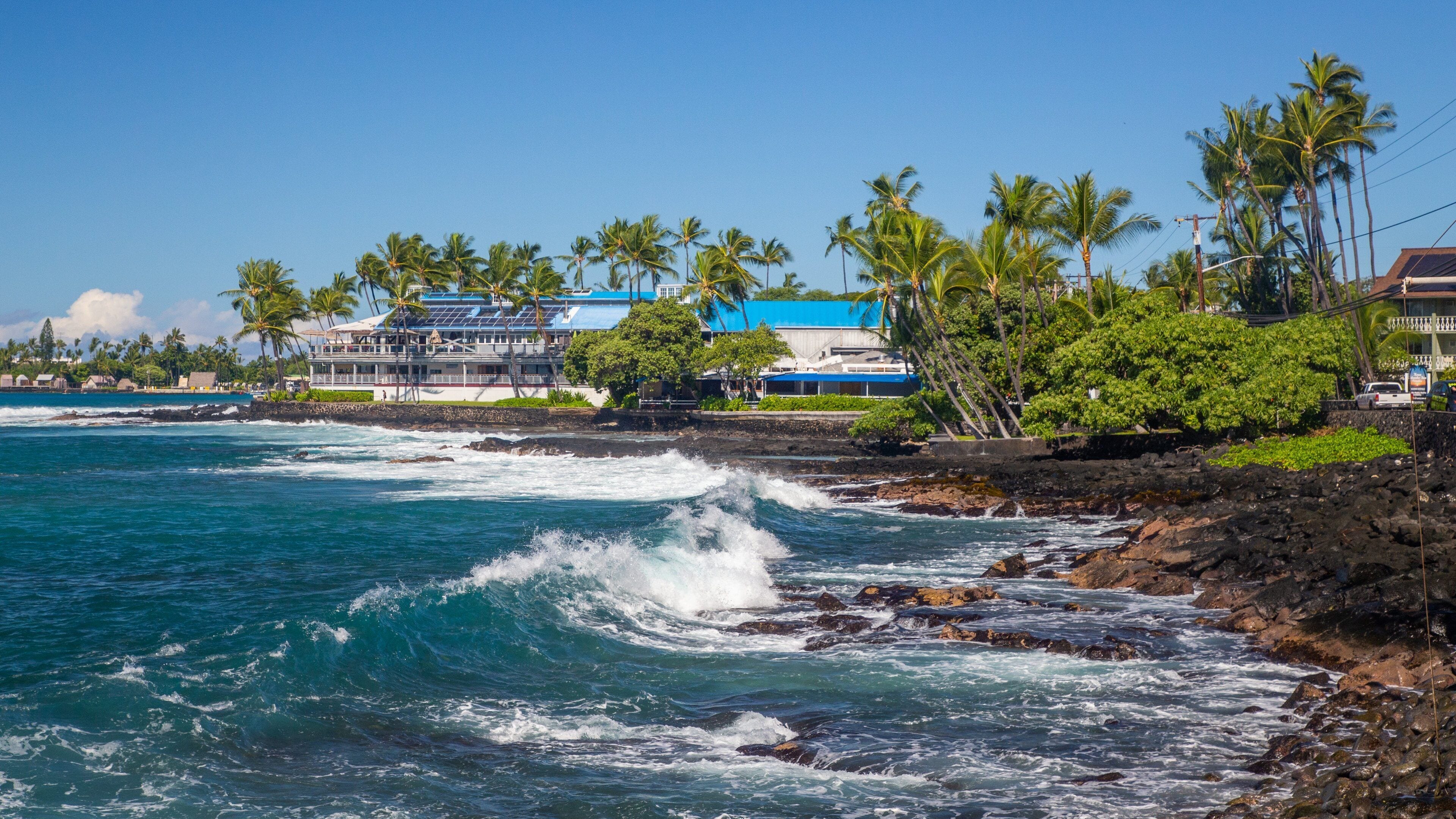 A coastal scene with waves crashing against rocks, palm trees, and buildings with blue roofs.