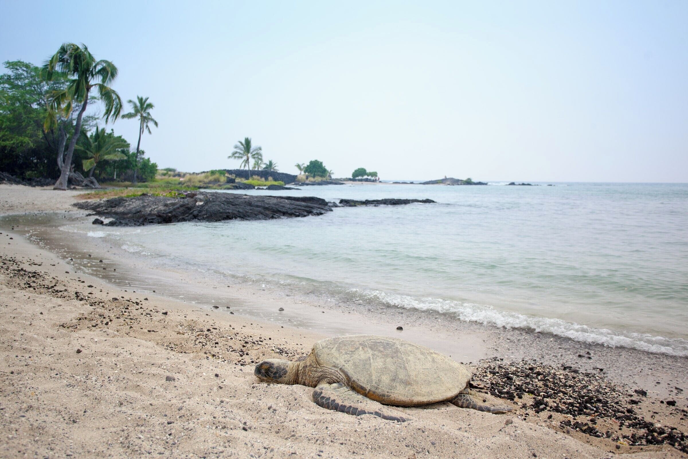 Short walk from the parking lot to a secluded beach on the Kona side of Big Island, Hawaii! 
#LifeAtExpedia