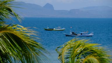 Dois barcos em um mar calmo, com montanhas ao fundo.