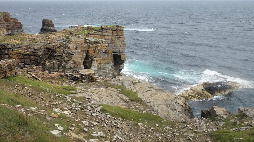 The cliffs on the south coast of Mainland. #BeachTips #GreatOutdoors #TroveOnTuesday #Perspectives #Nature #Trovember