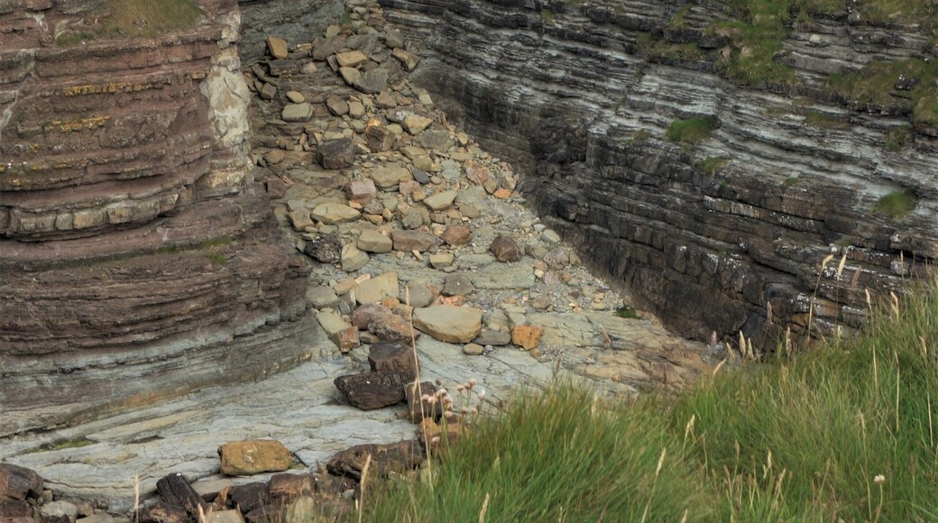 South coast of Mainland: the forces of nature at work. Within a few years the sea will have conquered a new small cove. #Nature