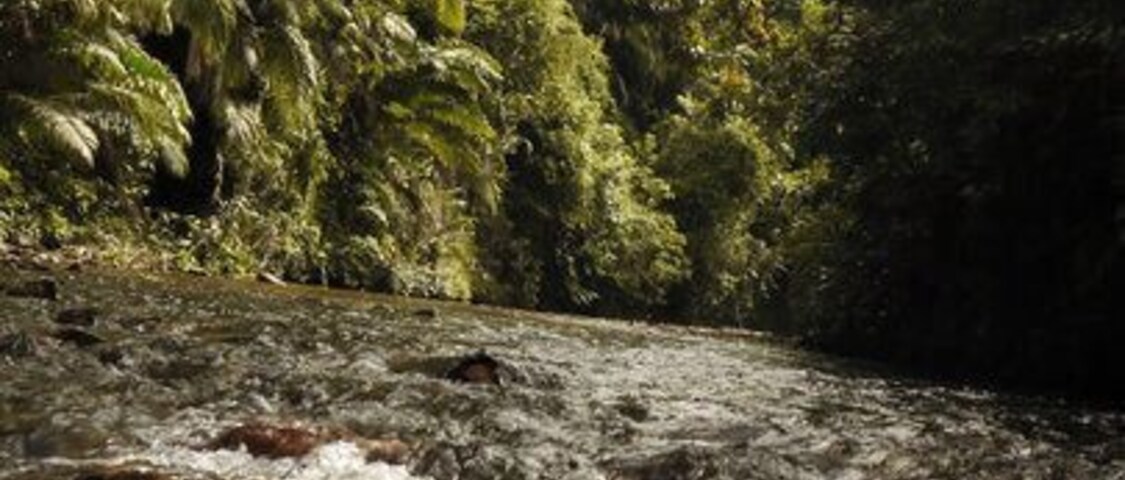 Nice stream to swim at Sebabai river, Kapit.