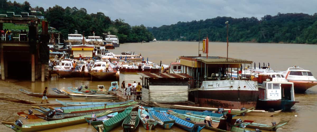 A river with boats docked at a pier, surrounded by greenery.
