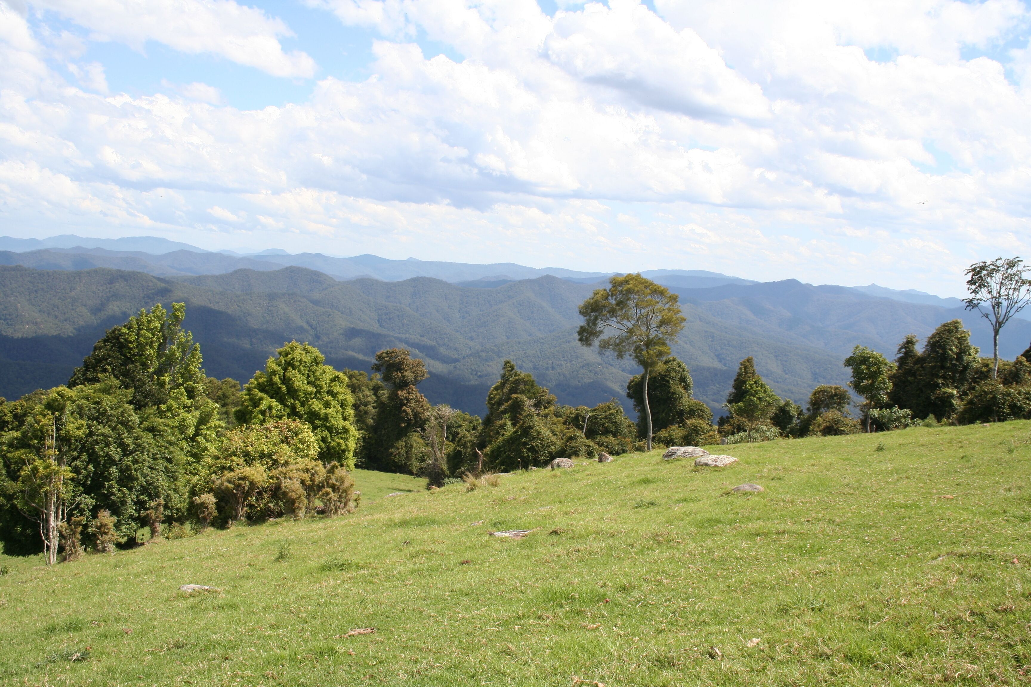 griffith lookout, dorrigo national park