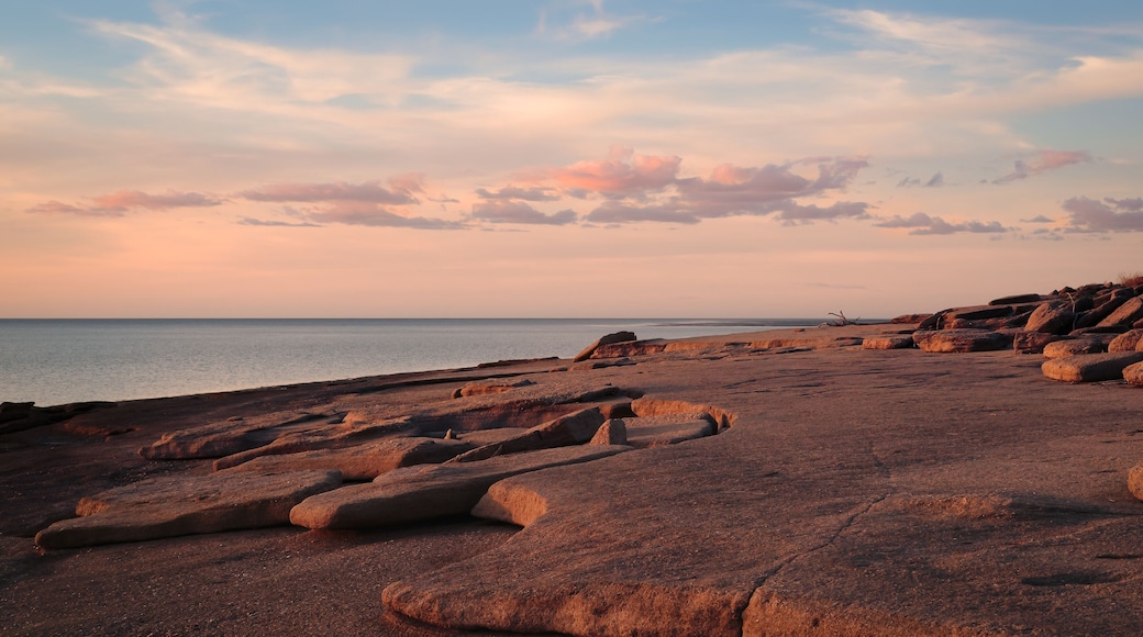 Fossil rock beach at Karumba on the Gulf of Carpentaria in Australia