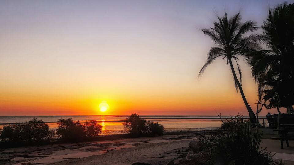 A sunset over a beach with palm trees and a calm sea.