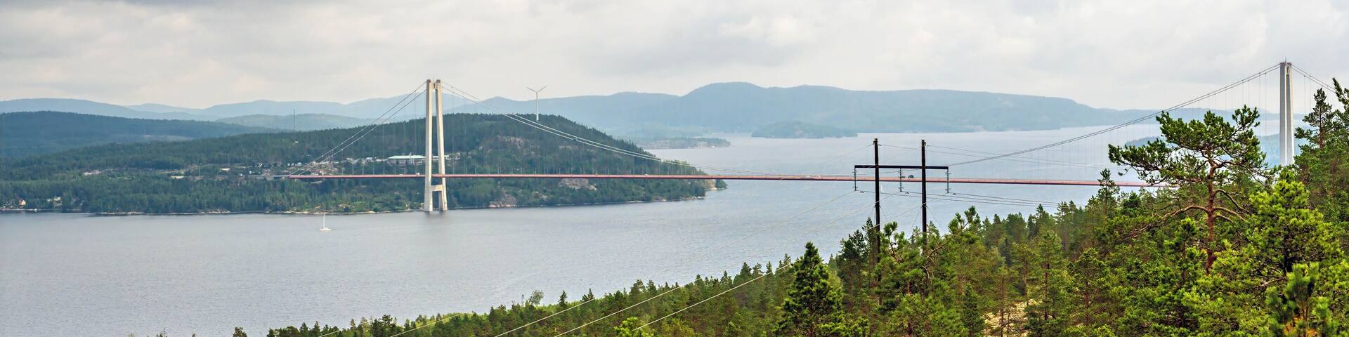 Panoramic view of the High Coast Bridge, a cable stayed structure spanning the Angermanalven river, connecting Harnosand and Kramfors amidst lush forests and a cloudy sky