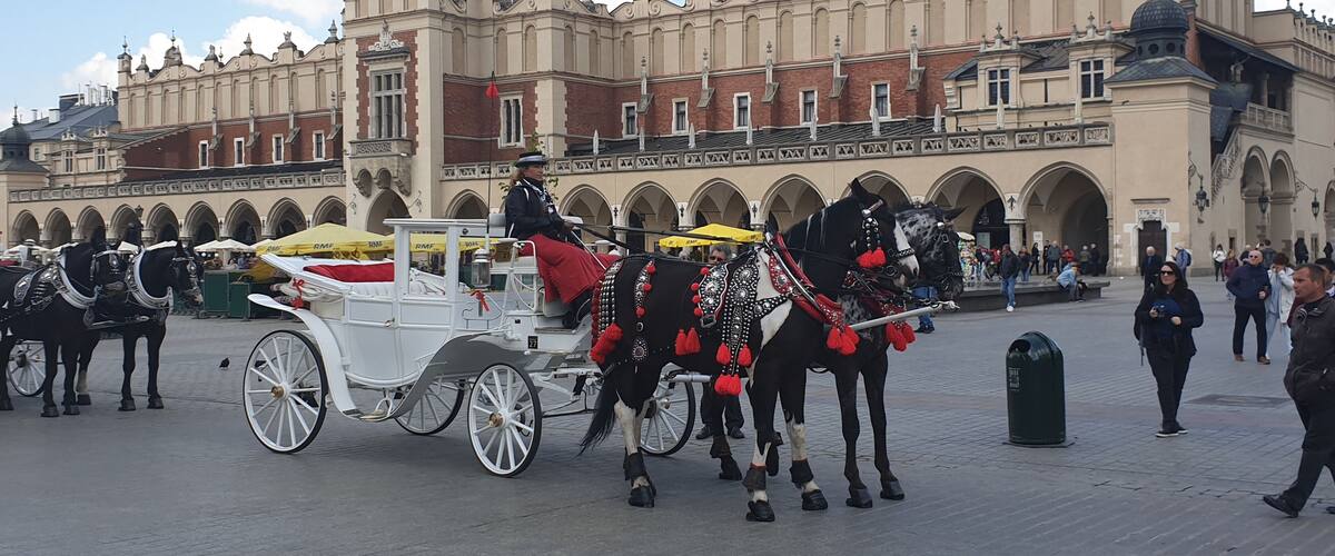 One of the carriages on the square