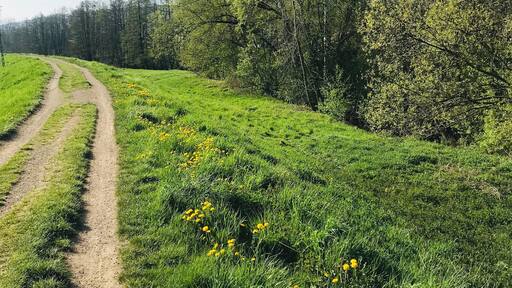 Great place to run, near the river Rudawa, near Błonia.