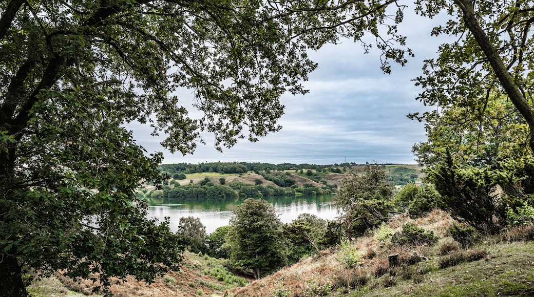 Hald lake in Dollerup hills in Denmark