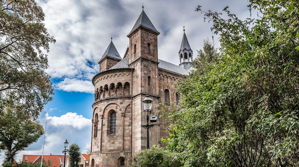 Cathedral in Viborg in Denmark