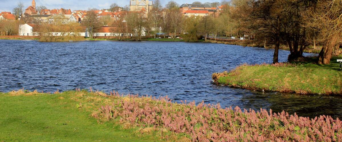 View of the city of Viborg, and Viborg Cathedral, seen from the lake; Soendersoe, (Søndersø) Jutland, Denmark