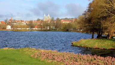 View of the city of Viborg, and Viborg Cathedral, seen from the lake; Soendersoe, (Søndersø) Jutland, Denmark