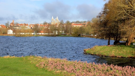 View of the city of Viborg, and Viborg Cathedral, seen from the lake; Soendersoe, (Søndersø) Jutland, Denmark