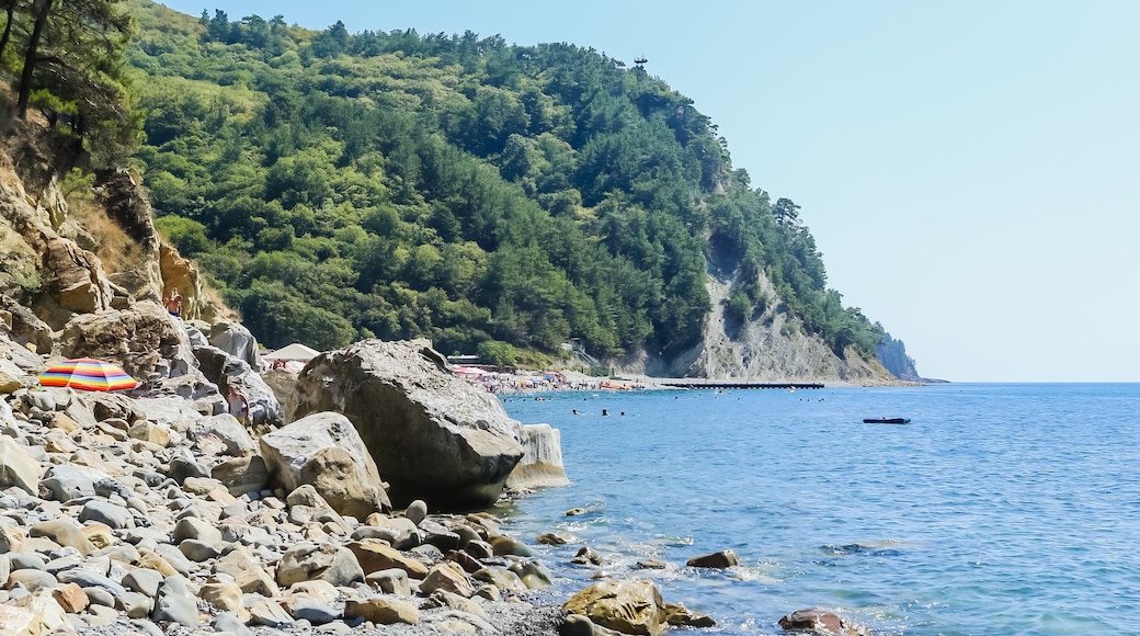The Black Sea coast near the village of Praskoveevka. Krasnodar region. Gelendzhik district. Russia