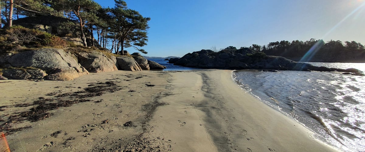 A sandy beach with footprints, rocky outcrops, and pine trees under a clear sky.